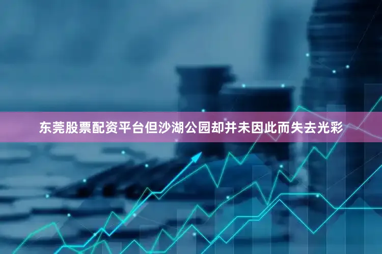 东莞股票配资平台但沙湖公园却并未因此而失去光彩