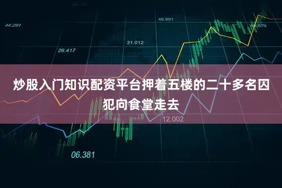 炒股入门知识配资平台押着五楼的二十多名囚犯向食堂走去