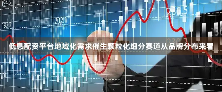 低息配资平台地域化需求催生颗粒化细分赛道从品牌分布来看