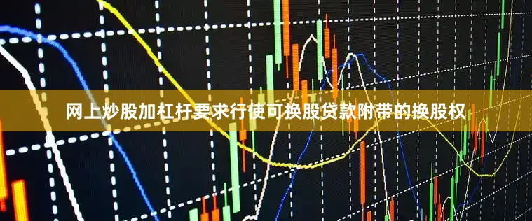 网上炒股加杠杆要求行使可换股贷款附带的换股权